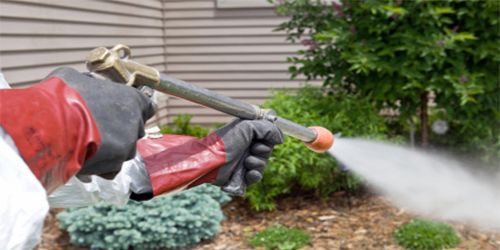 Pest Control